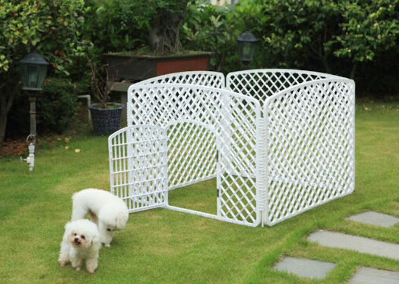 Dog Enclosures: Creating a Safe and Comfortable Space for Your Pet